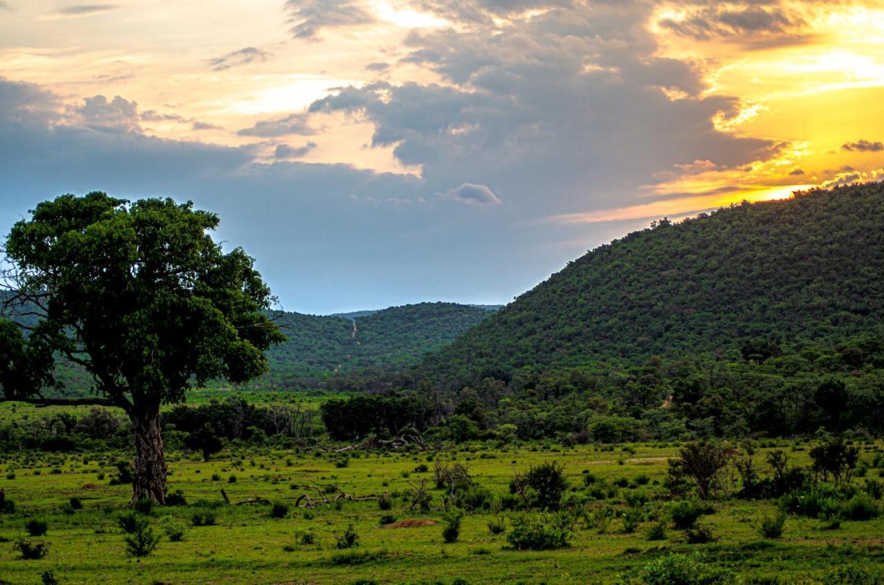 Laluka Safari Lodge - Welgevonden Game Reserve Exterior photo